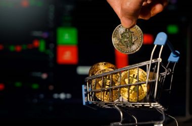The great Bitcoin accumulation has begun, says Gemini's Winklevoss