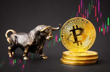 Binance CEO predpovedá príchod Bitcoinového bull runu