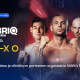 WEXO proudly partners with FABRIQ MMA!