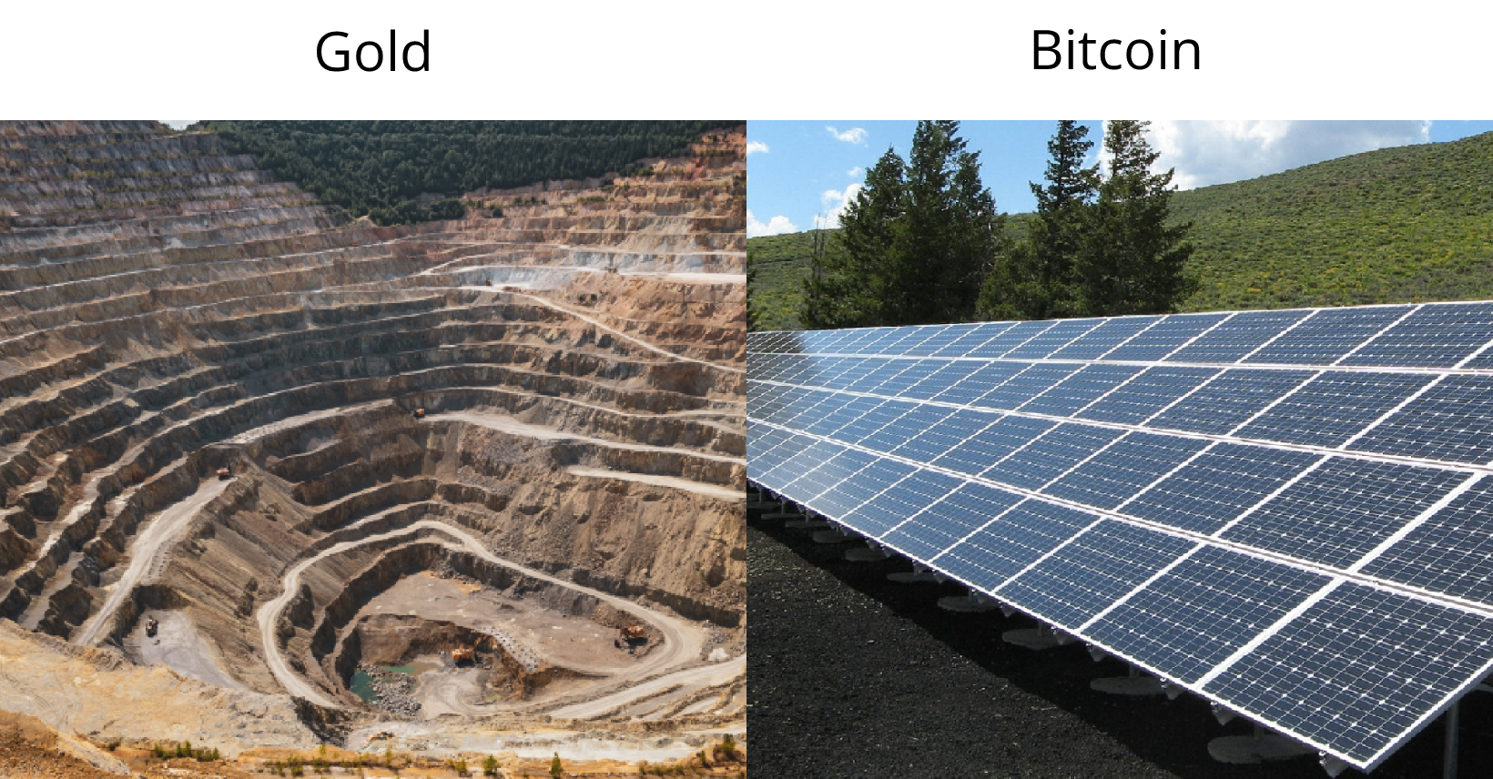 Gold vs Bitcoin